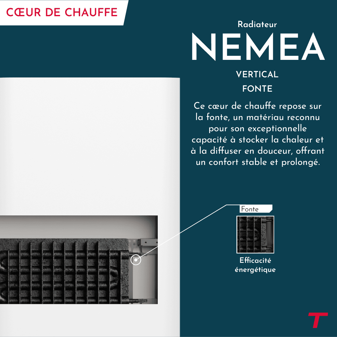 Cœur de chauffe du NEMEA
